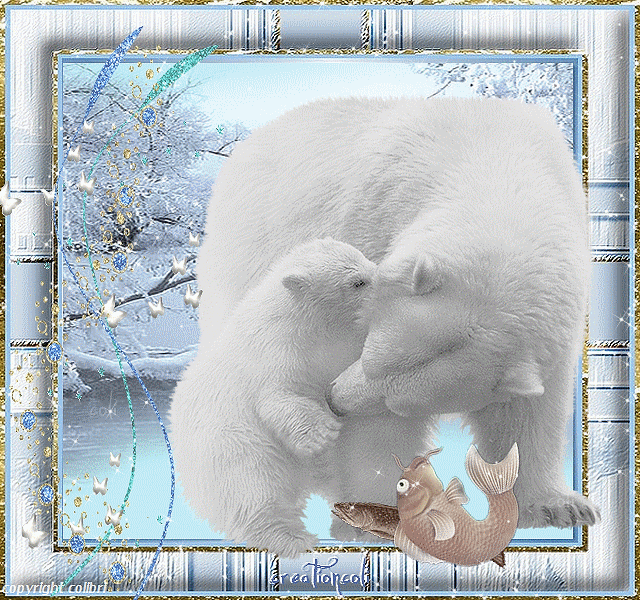 Картинки открытки С днем полярного медведя красивые скачать