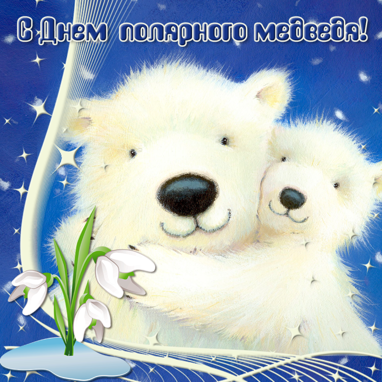 Картинки открытки С днем полярного медведя красивые скачать