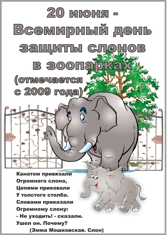 Открытки, картинки и анимация на день защиты слонов бесплатно
