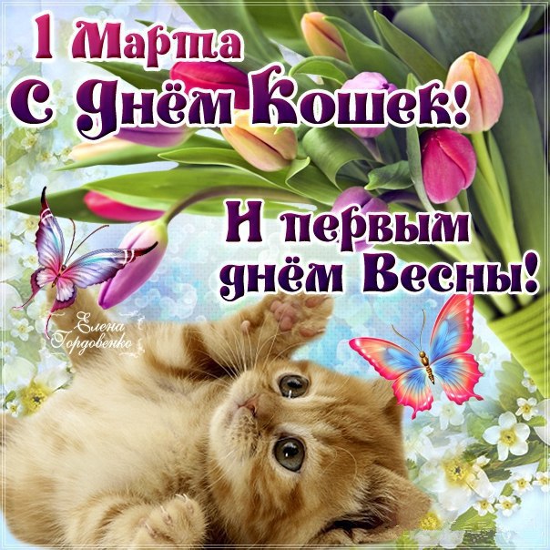 Картинки открытки С днем кошек и первым днем весны красивые скачать