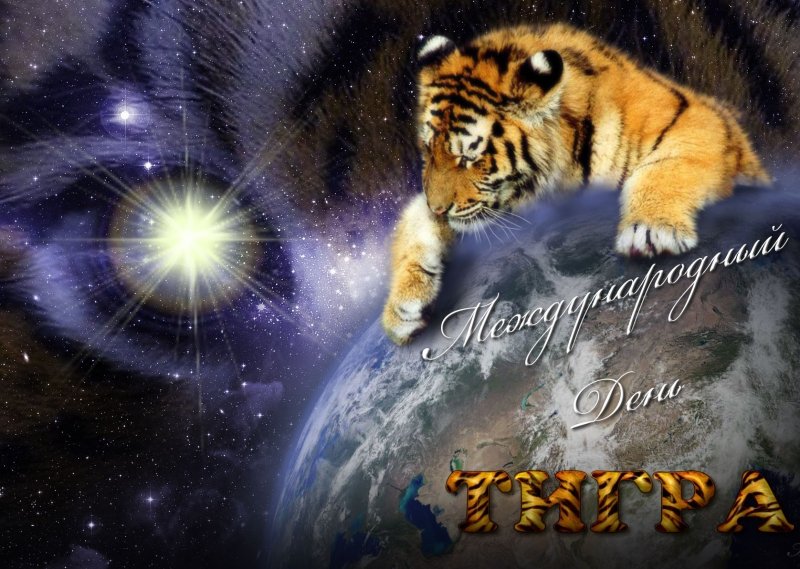 Поздравительные картинки и открытки с днём тигра