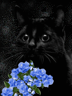 Картинки открытки на день черной кошки скачать