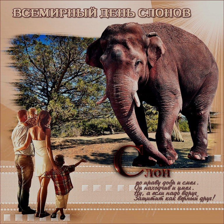 Картинки открытки на день слонов скачать